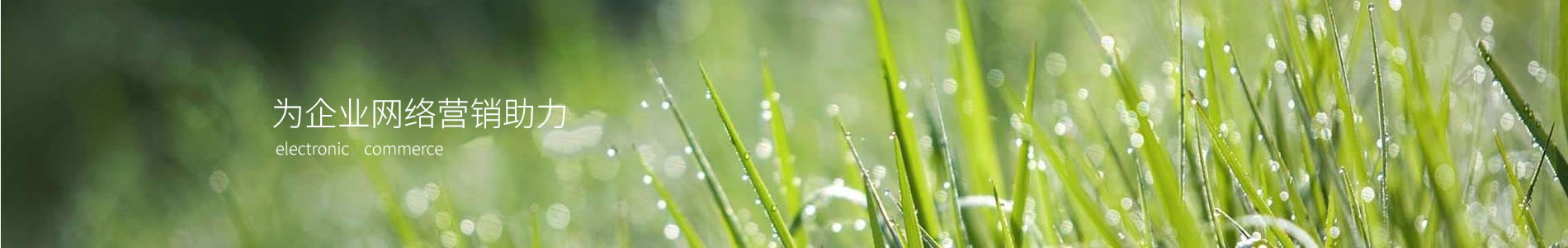 ؽó޹˾